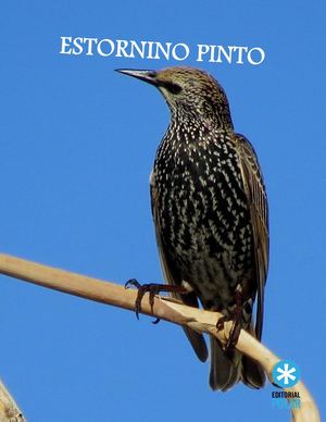 ESTORNINO PINTO