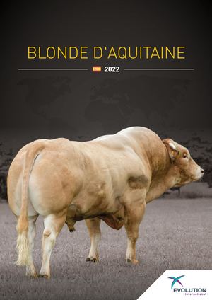 Catalog Blonde 2022 - ES