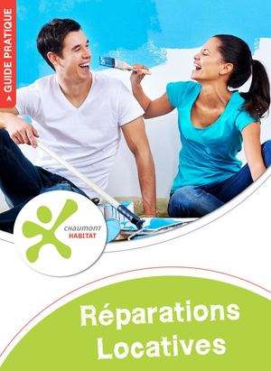 Guide Des Réparations Locatives