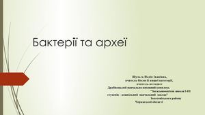 Бактерії та археї