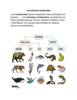Los Mamiferos