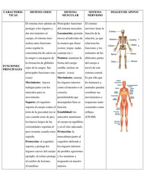 Tarea 2 Cuadro Comparativo