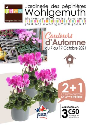 Couleurs D'automne Jardinerie Wohlgemuth