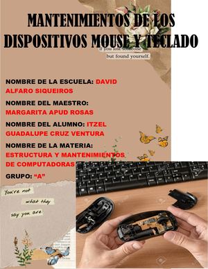 Estructura de los dispositivos