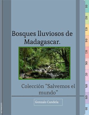 Bosques Lluviosos De Madagascar