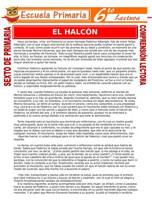 El Halcón Para Sexto Grado De Primaria