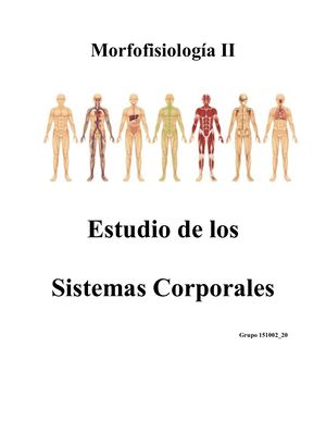 Morfofisiología Ii