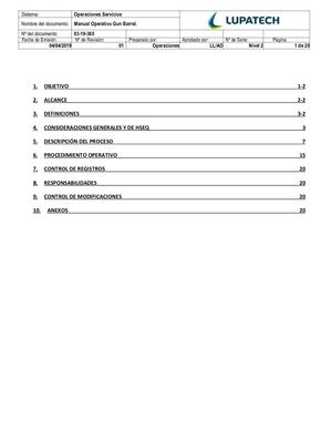 03 19 365 Manual Operativo Gun Barrel V1