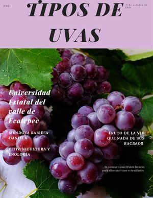 Tipos De Uvas (1)