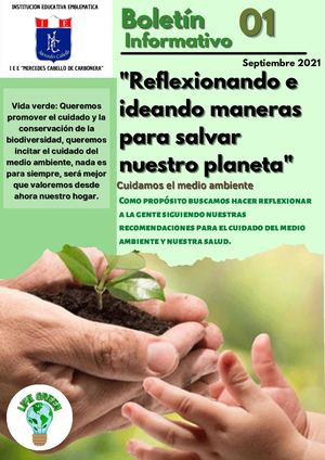 Boletín Del 3d Reflexionando E Ideando Maneras Para Salvar Nuestro Planeta