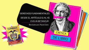 Derechos Fundamentales Desde El Articulo 11 Al 41 Pptx