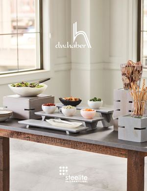 Design Gastro Katalog Steelite D W Haber 2020 1