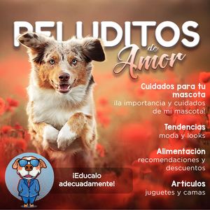 Revista Industrias Paws Fer 22 Compressed