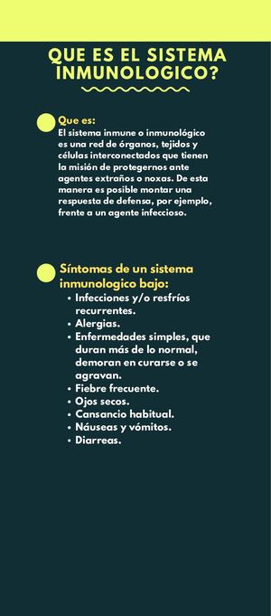 Amarillo Rutina Diaria De Un Bloguero Línea De Tiempo Infografía