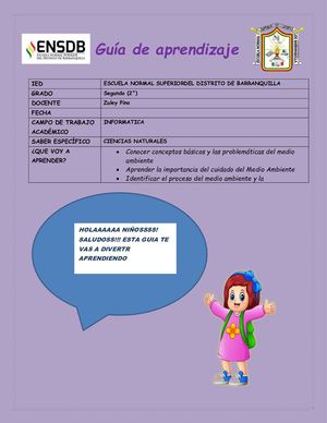 Guía De Aprendizaje Medio Ambiente Informatica
