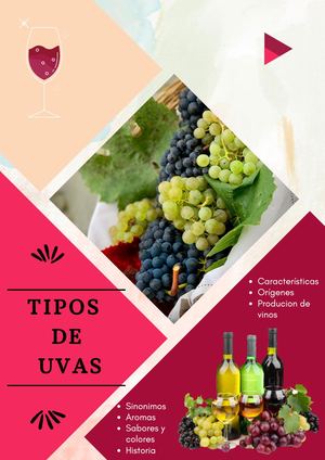 Catálogo de tipos de uva