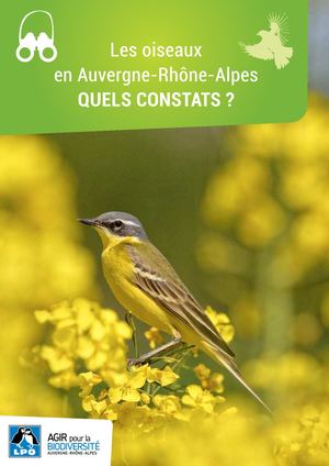 Les oiseaux en Auvergne-Rhône-Alpes : quels constats ?