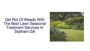 Get Rid Of Weeds With The Best Lawn Seasonal Treatment Services In Statham GA