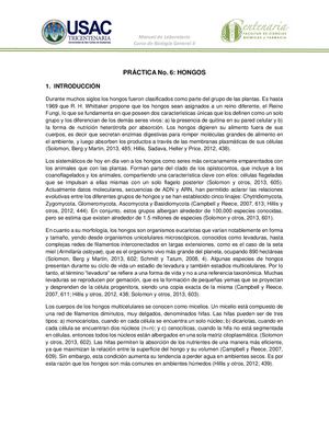 Práctica No 6 Hongos Bgii 2021