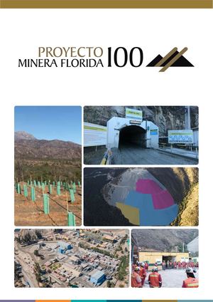 20211006 Brochure Digital Minera Florida 100 At1