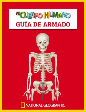 Guia Montaje Esqueleto Mx