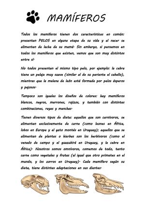 Mamiferos 1