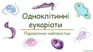 Паразитичні одноклітинні організми.