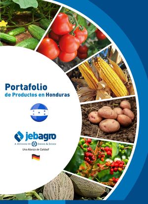 Portafolio Honduras