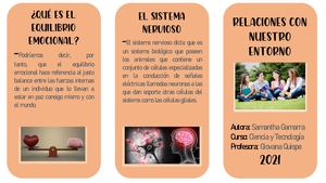 Triptico De Ct