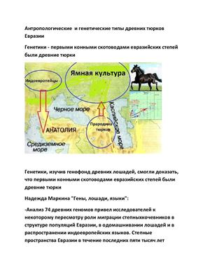 Антропологические и генетические типы древних тюрков Евразии