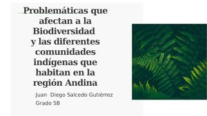 Sociales trabajo Región Andina