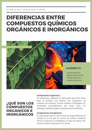 Diferencias Entre Compuestos Químicos Orgánicos E Inorgánicos (1)