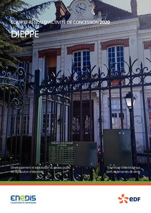Compte Rendu D'activité 2020 Enedis