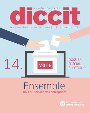 Diccit-n°41