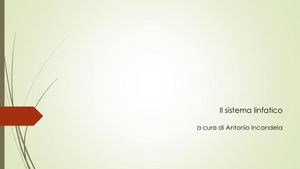 12^ Lezione Il Sistema Linfatico