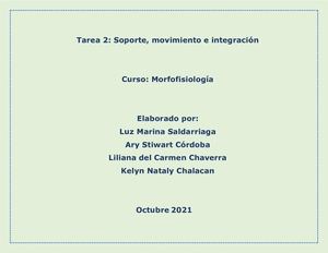 Cuadro Comparativo Y Descriptivo Sistemas Muscular, Oseo, Nervioso Central