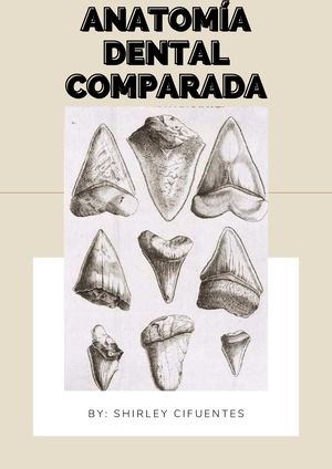 Anaromía Dental Comparada