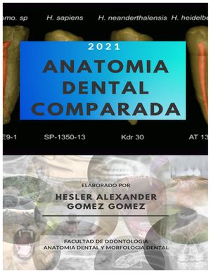 Anatomia Comparada