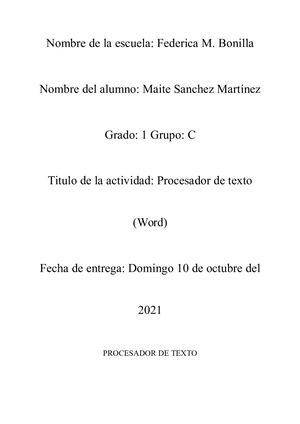 Procesador de texto (word)