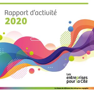Lepc_Rapport D'activité 2020