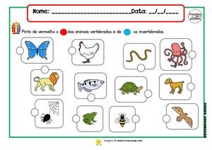 Animais Vertebrados E Invertebrados (2)