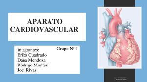 Exposición 1 De Morfo 2