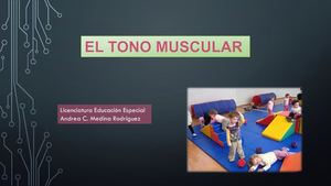 Psicomotricidad Tono Muscular