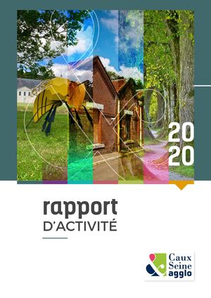 Rapport d'activités 2020