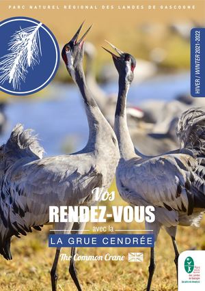 Rdv Avec La Grue Cendrée 2021 2022 Parc Naturel Régional des Landes De Gascogne
