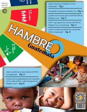 Revista PRACTICA SUPERVISADA