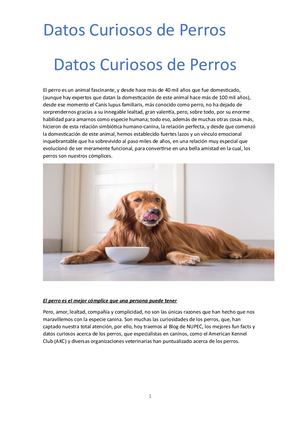 El Perro Es Un Animal Fascinante