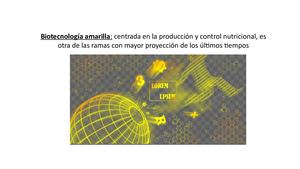 Biotecnología Amarilla