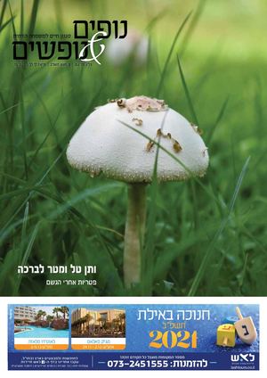 נופים&נופשים | גיליון 252 | 15.10.21