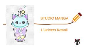 4 Studio Manga L'univers Kawaii